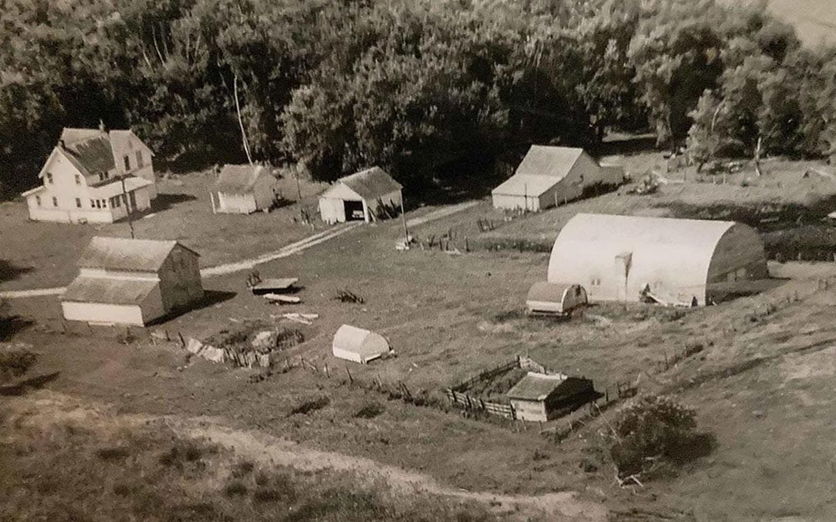 vintage aerial photo of farmland