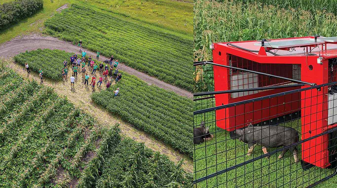 people standing in a field and a red mobile pig pen