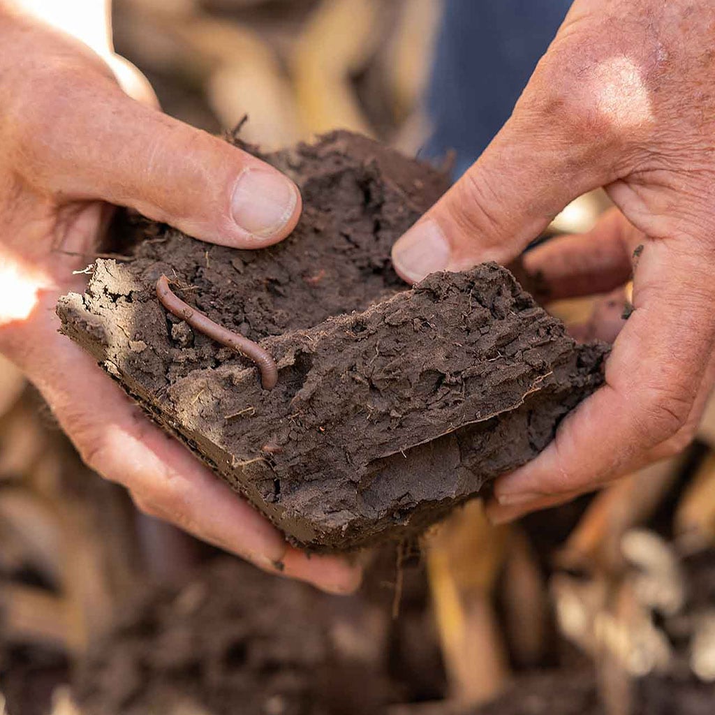 hands breaking apart dirt