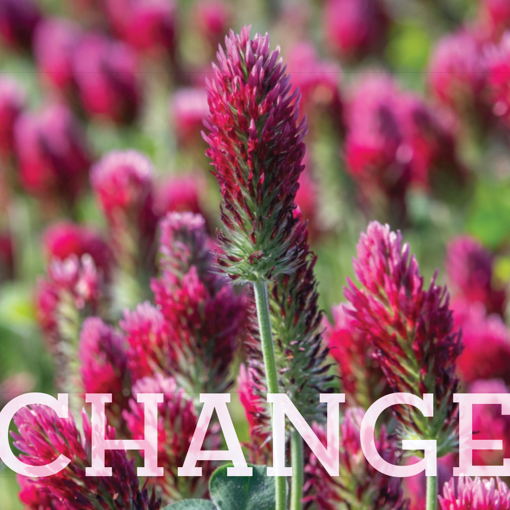 Tackling Change