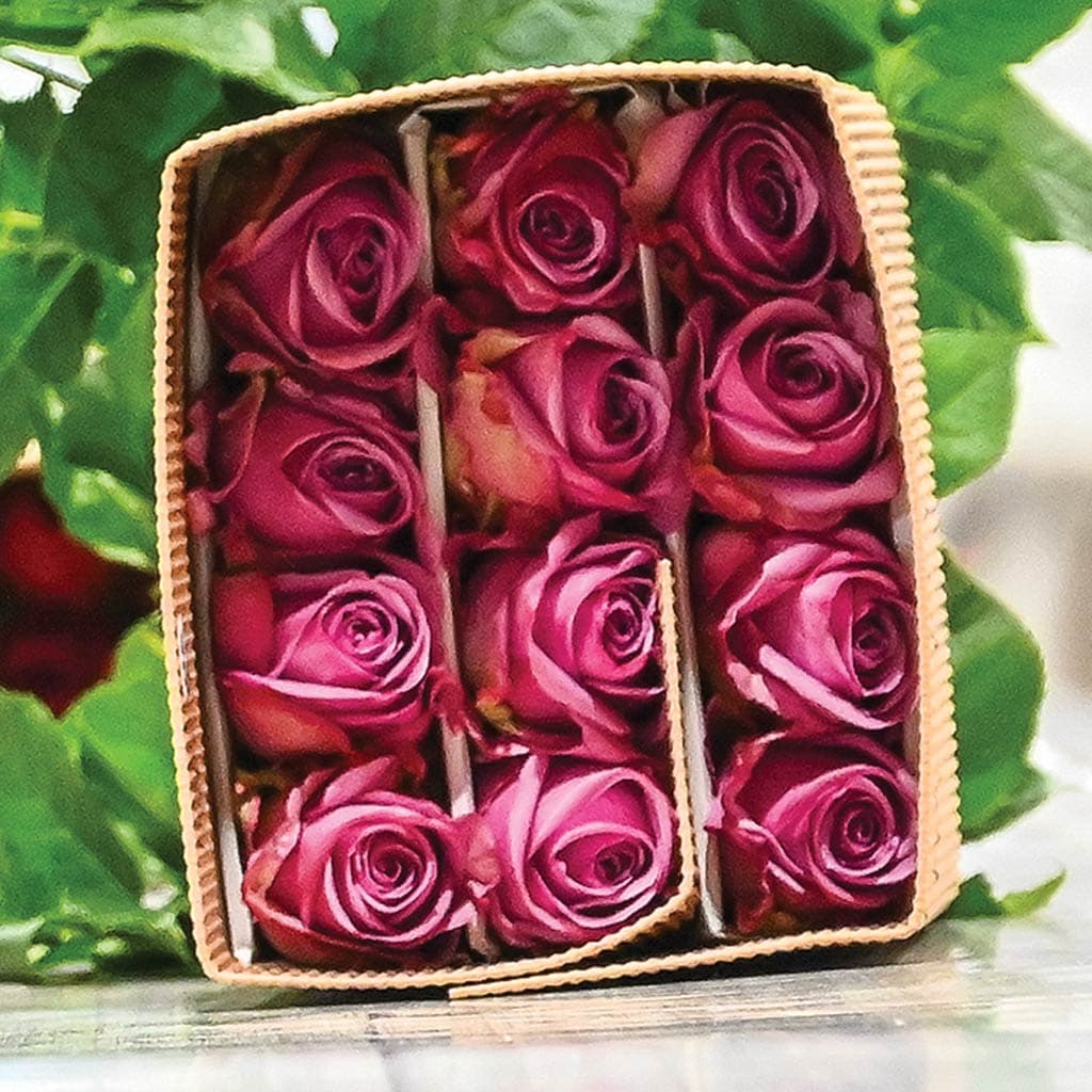 boxed roses