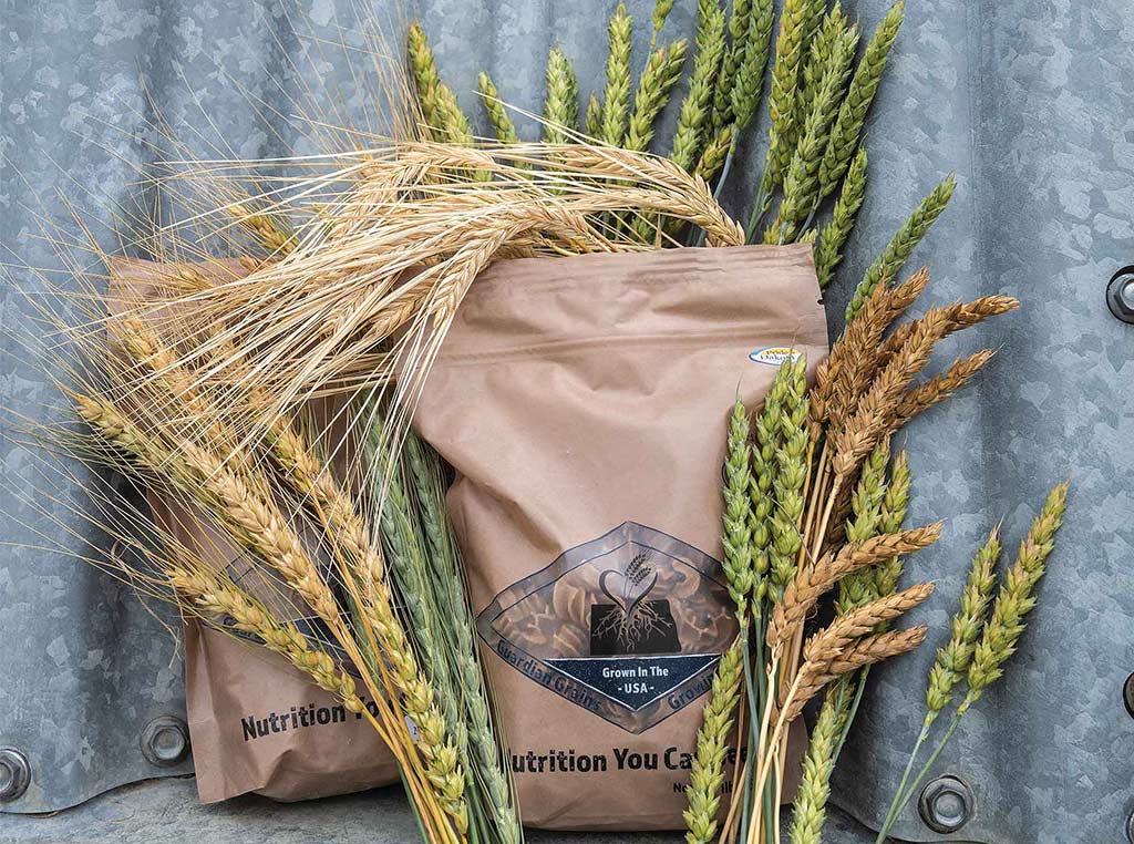 bag full of wheat surrounded by wheat