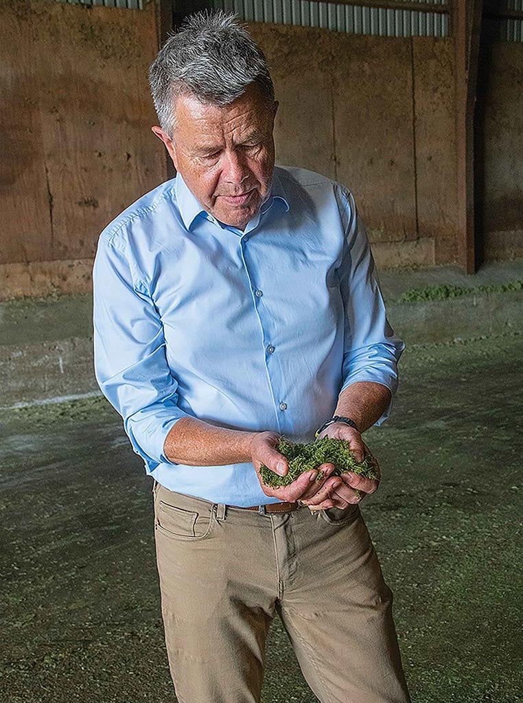 man cradling grass in both hands