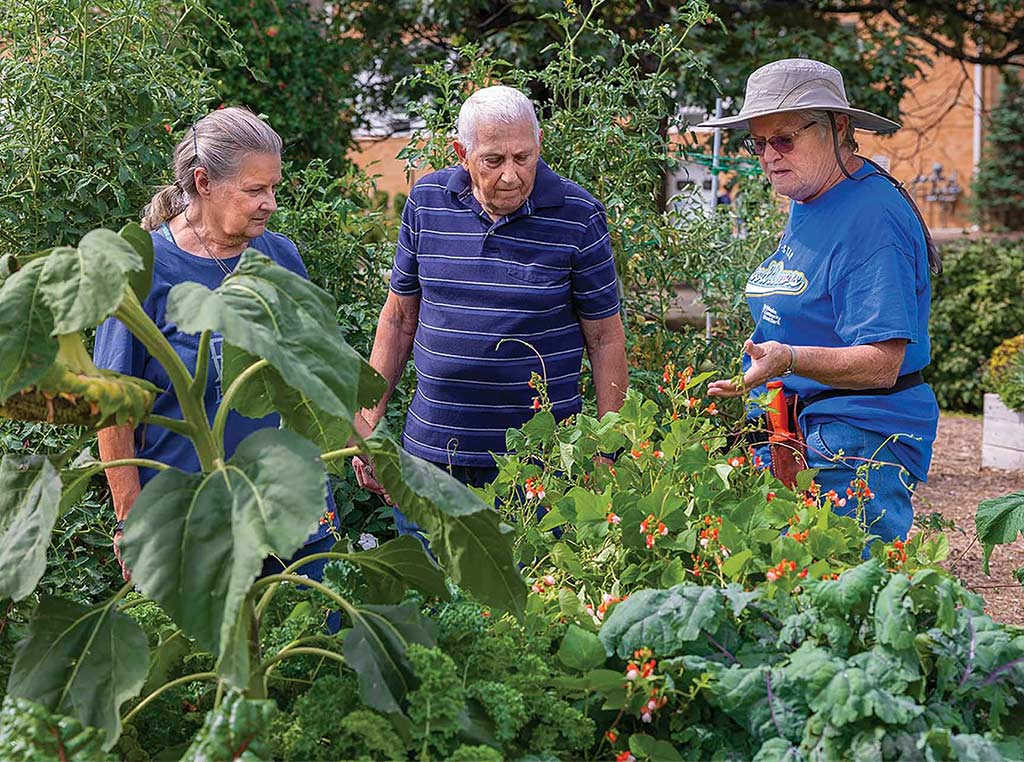 three people standing among various plants