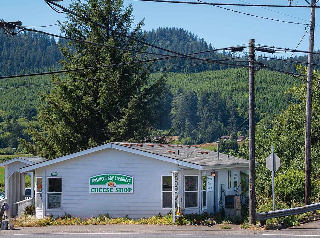 cheese shop in front of hillside and trees