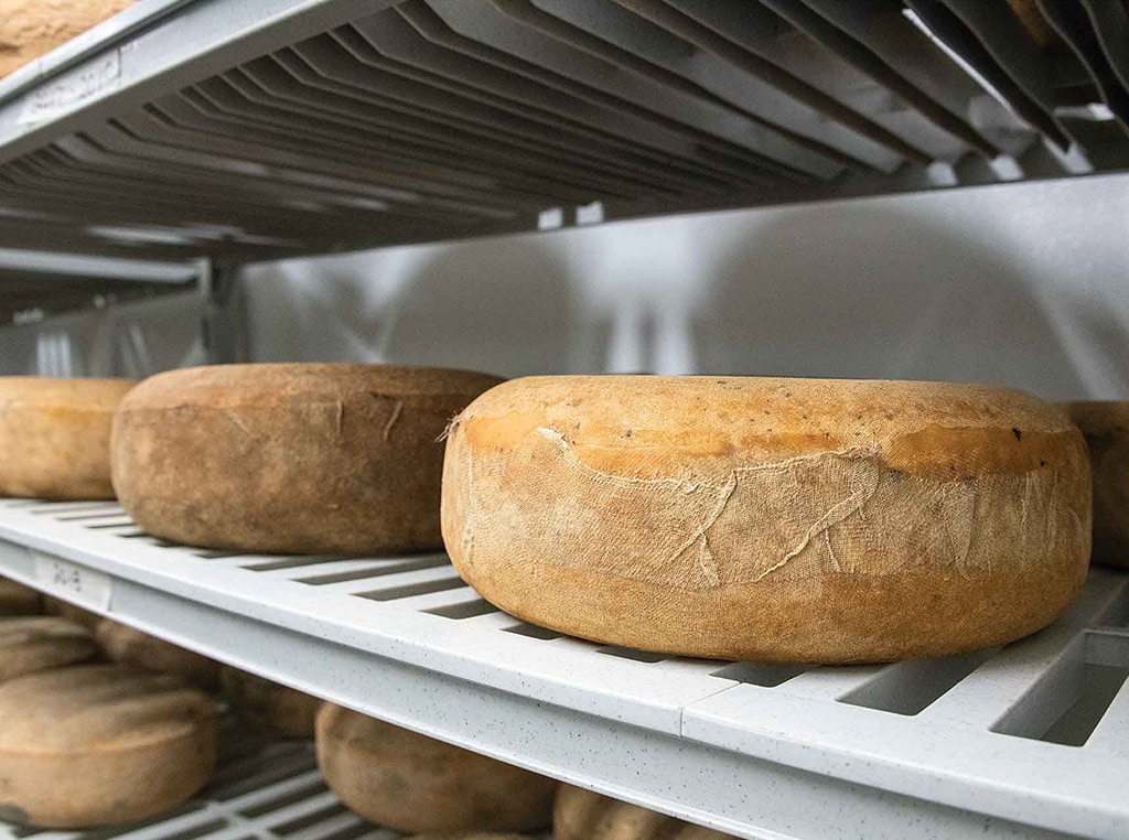 shelves full of large cheese wheels