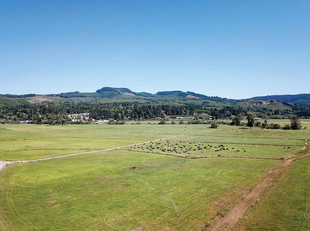 sprawling field with mountains in the distance