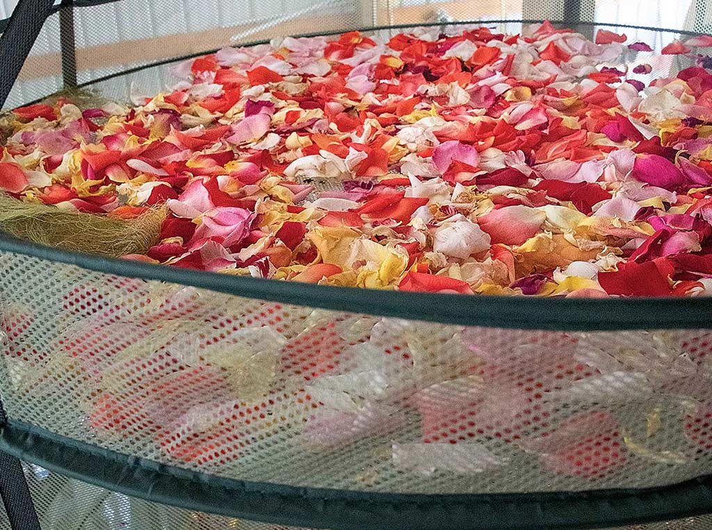 basket of flower petals