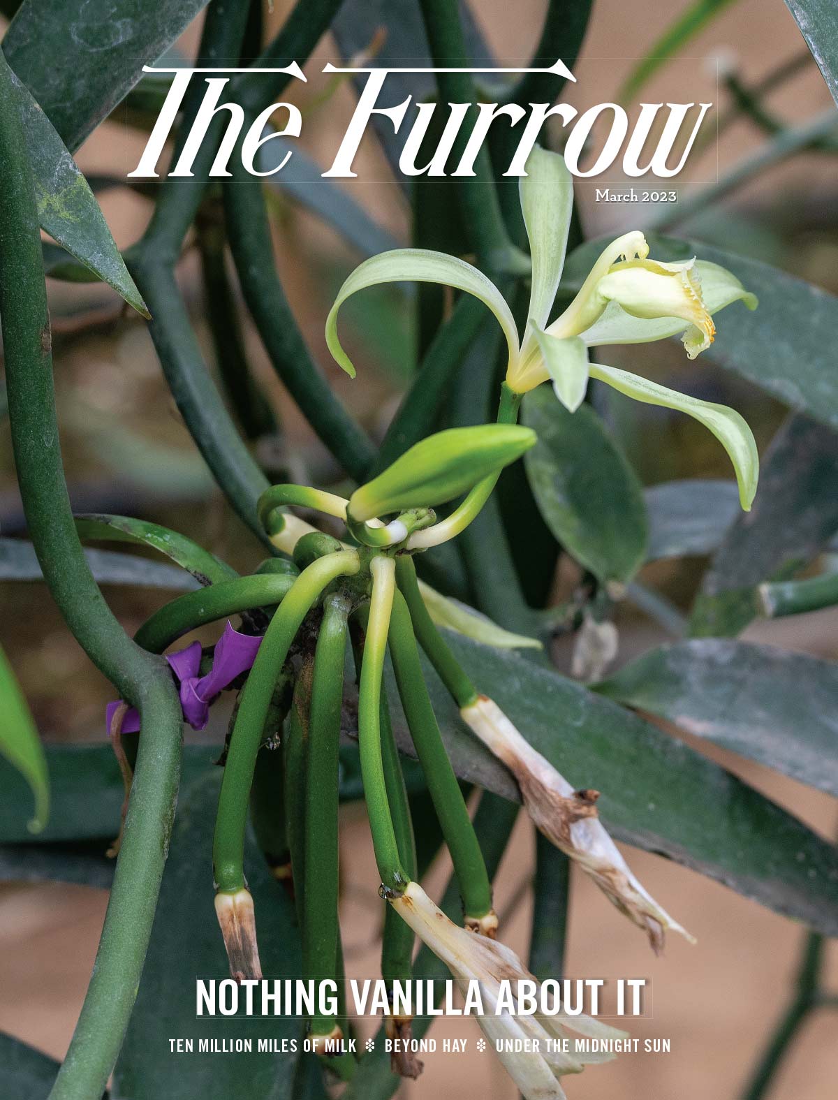 The Furrow - March 2023 Issue