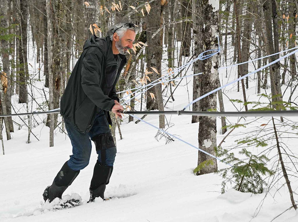 man walking in snow surrounded by trees