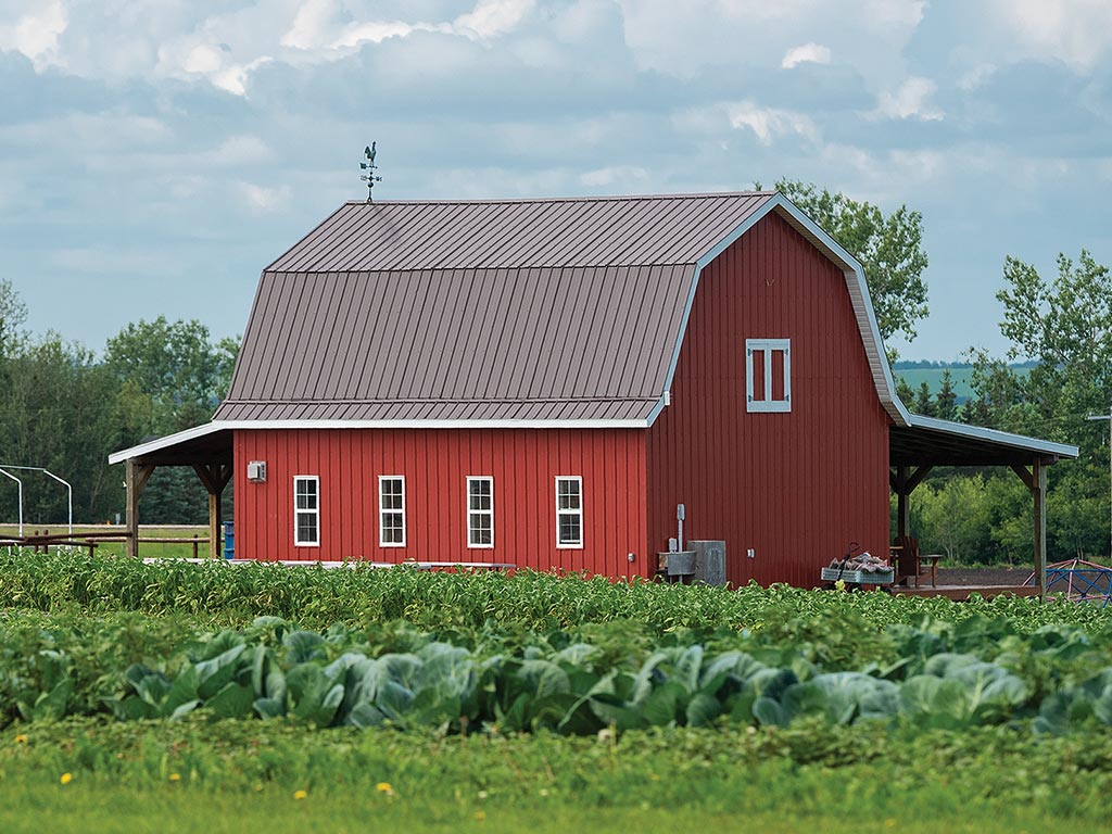 red barn with farm field in foreground