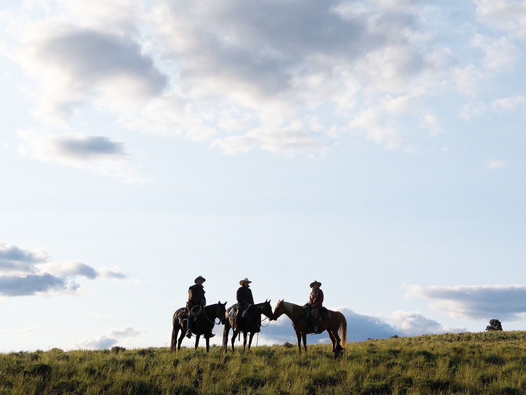 Three people on horseback in a field on a bright day. 