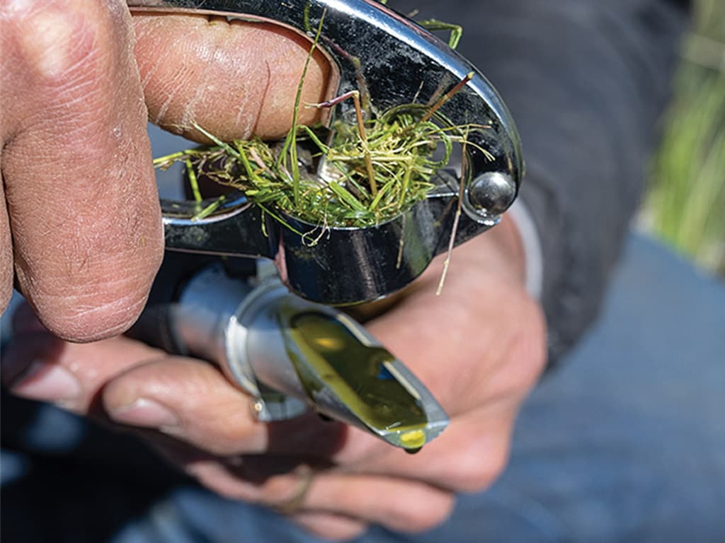 closeup of garlic press squeezing yellow liquid from grass