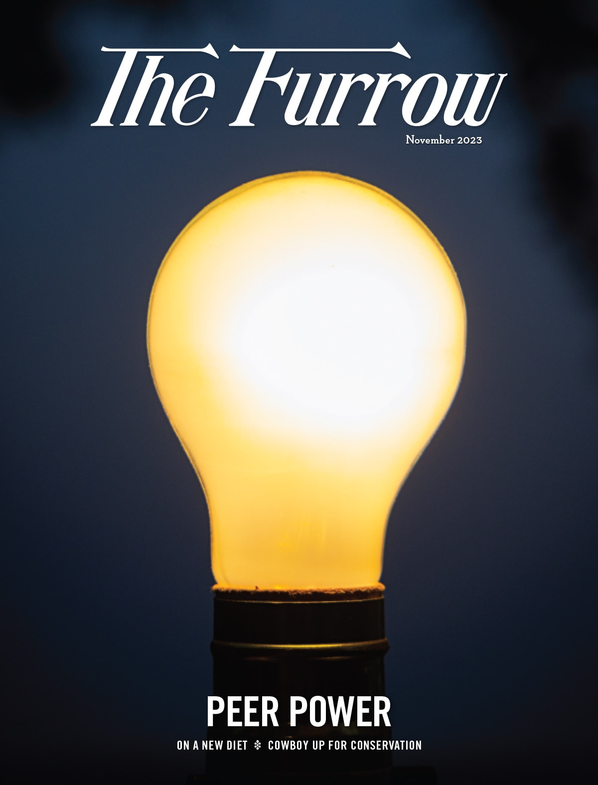 an illuminated lightbulb