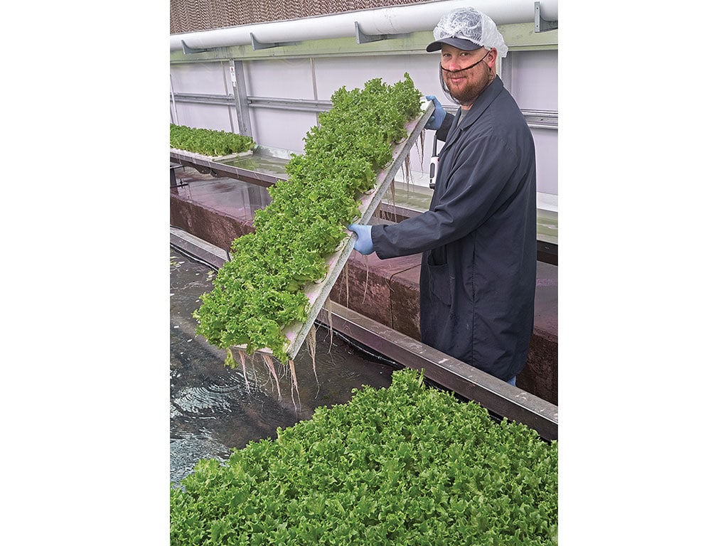 A smiling worker showing off a tray of plants