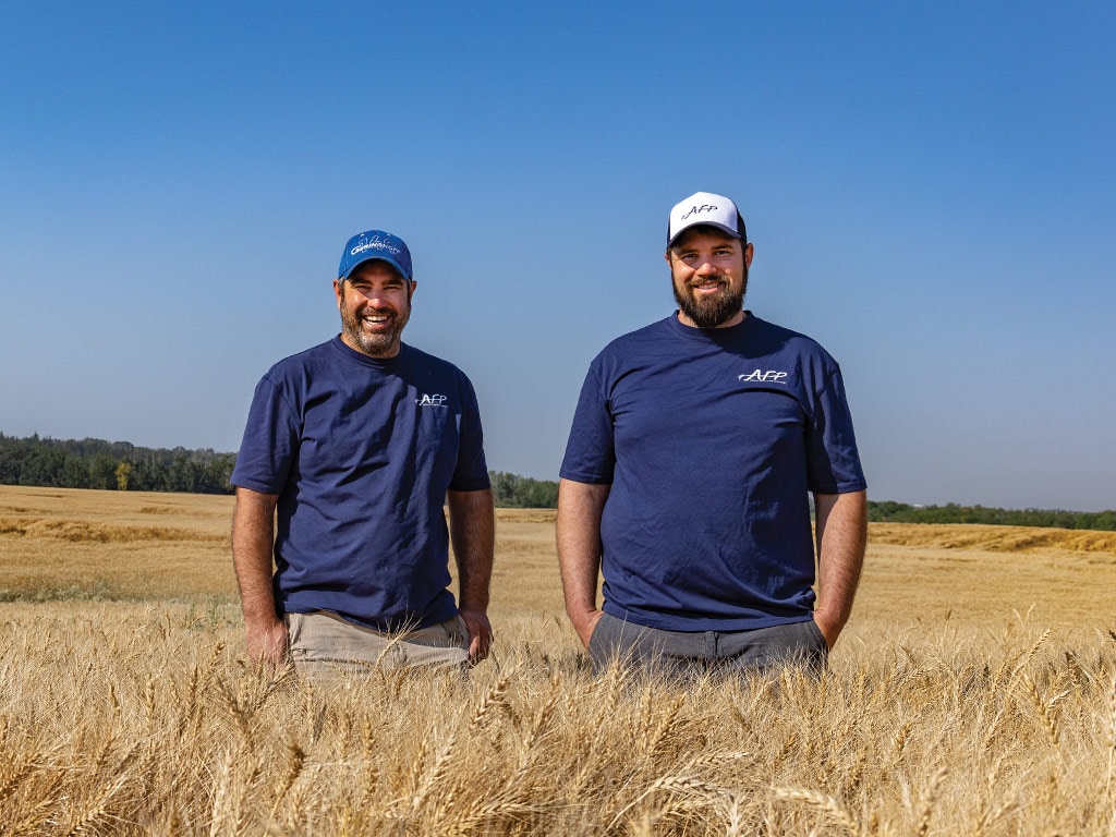 Two people standing side by side in a wheat field on a clear day