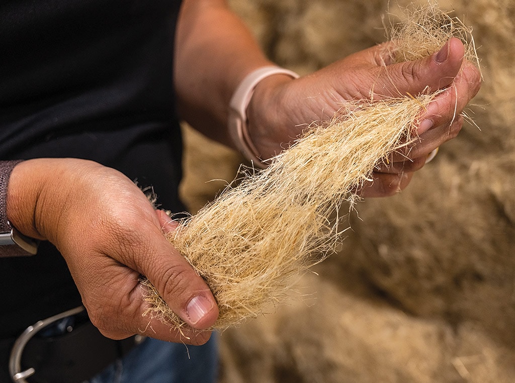 hemp fiber being pulled apart by hand