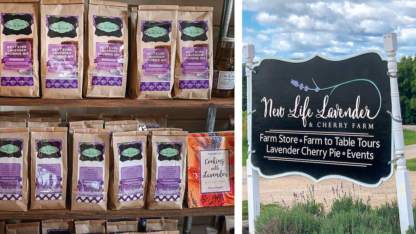 shelves of lavender products and a New Life Lavender farms sign
