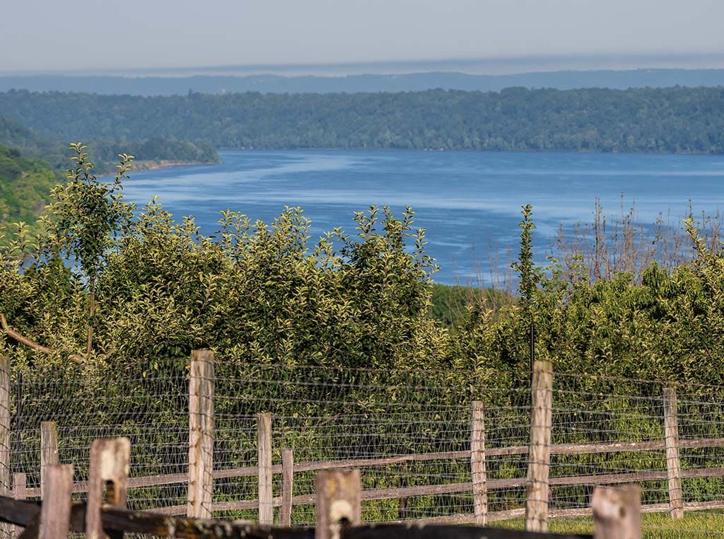 view of Ohio River over animal pen fences