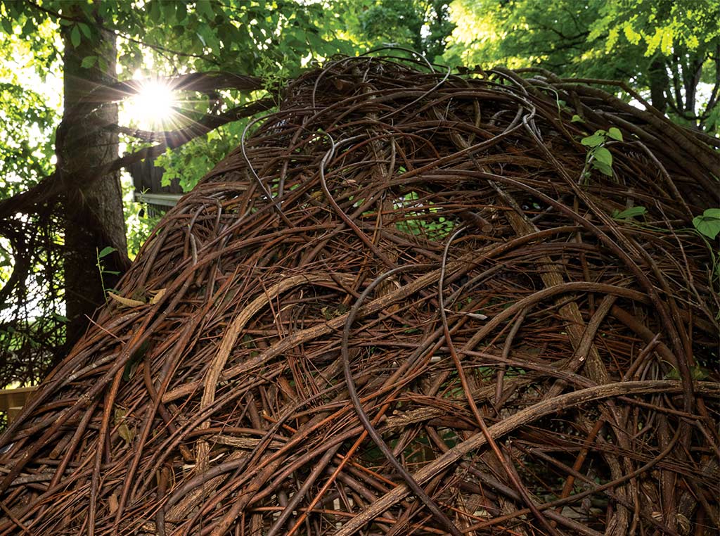 artistically woven willow branches