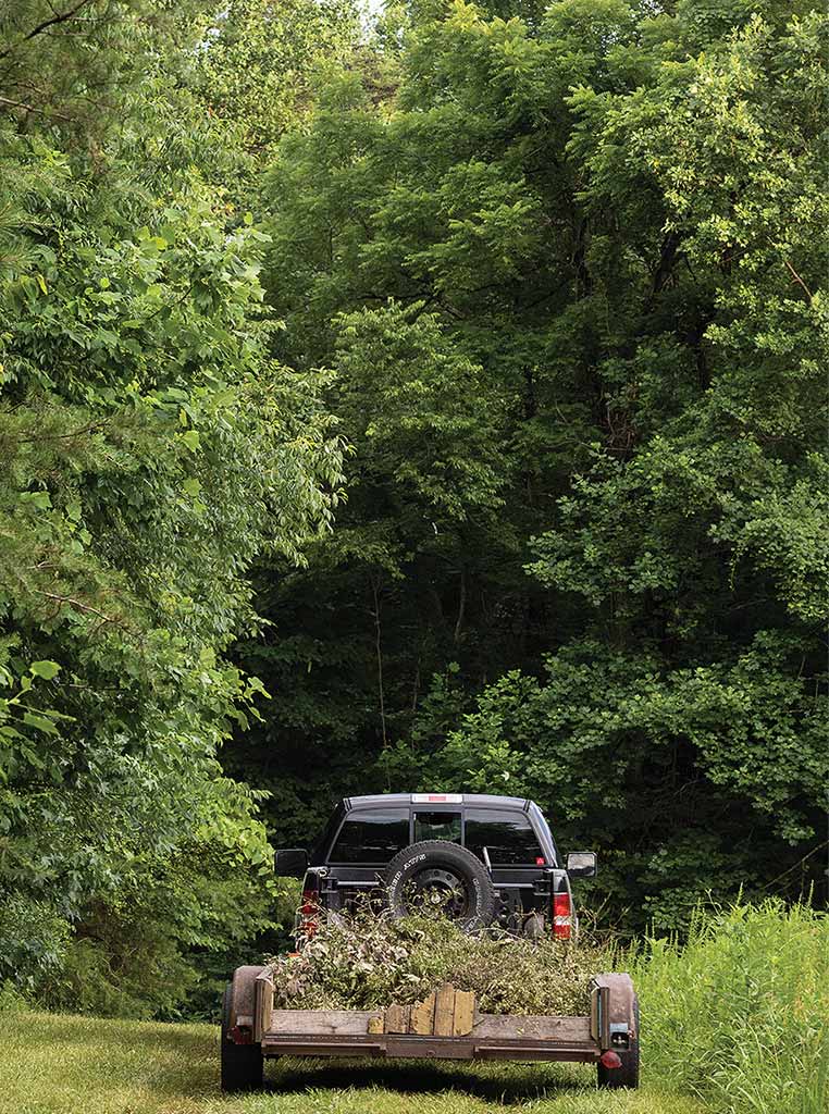 pickup truck hauling willow branches