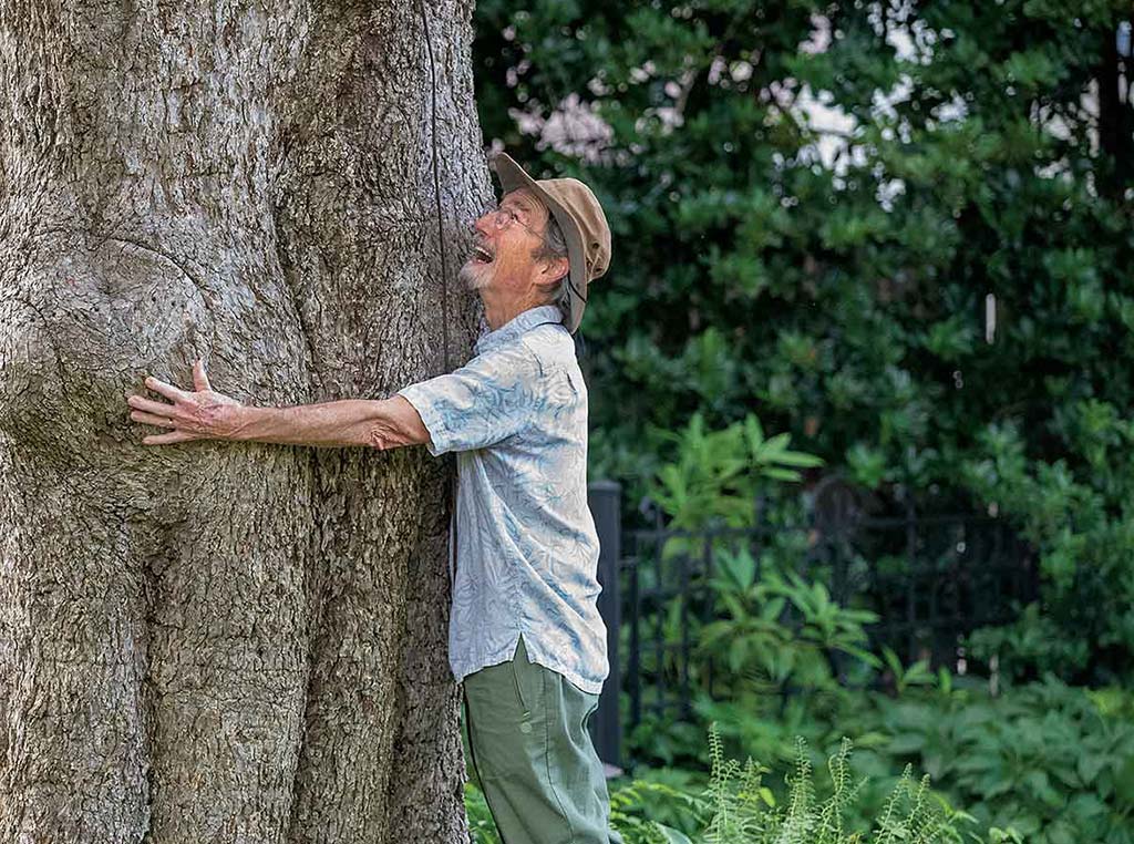 man with wide brimmed hat on hugging a tree