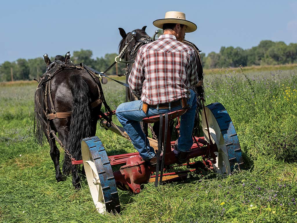 person riding a horse drawn rotary lawnmower
