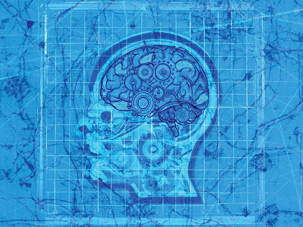 Blueprint style drawing of human head with brain illustrated