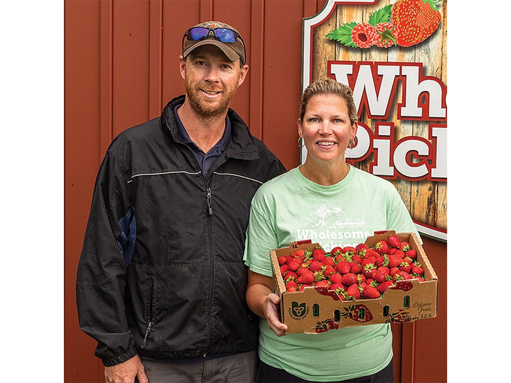 Two people with one of them holding a cardboard box of strawberries 