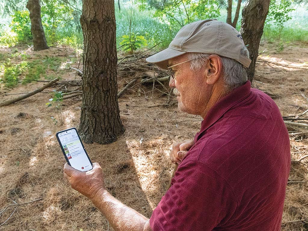 man sitting in forest looking at cellphone