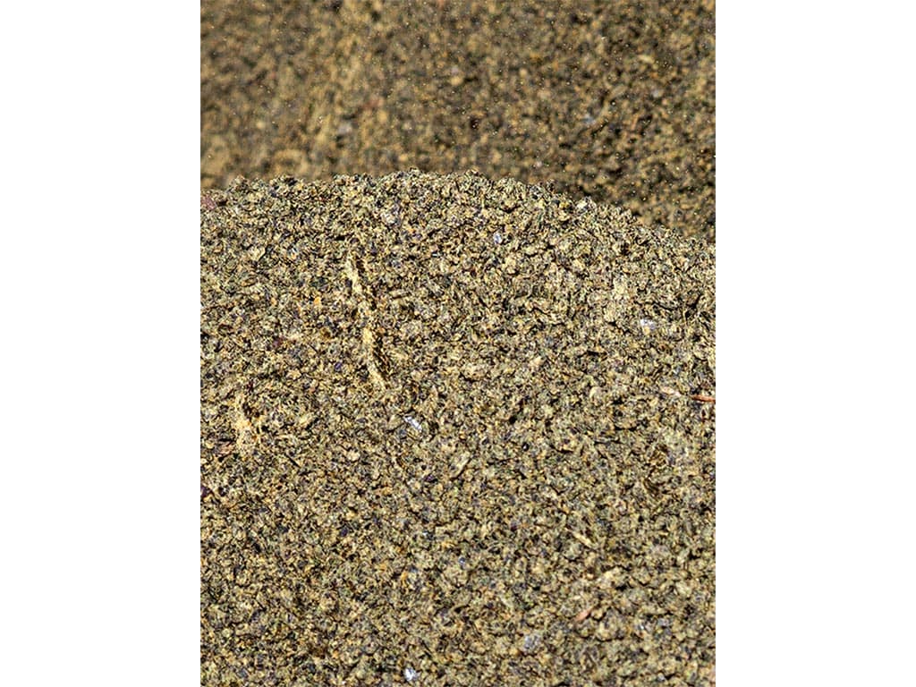 closeup of canola seeds