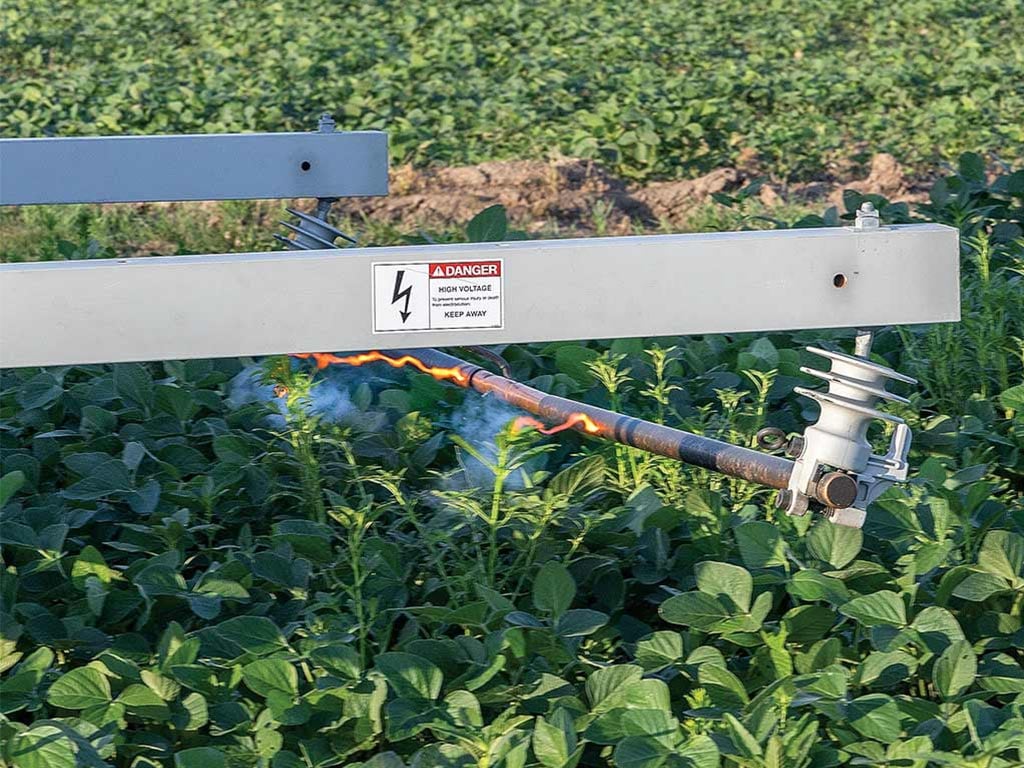 An electric weed zapper suspended over field of green plants