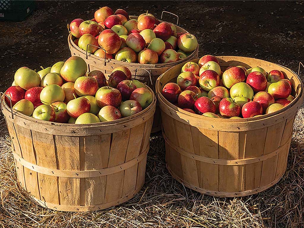 three wooden baskets full of apples