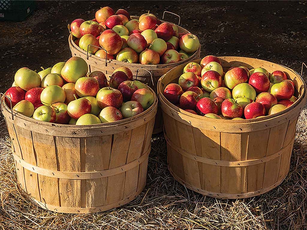 three wooden baskets full of apples