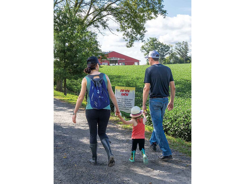 a mom and dad holding hands with child walking up a road to a red barn