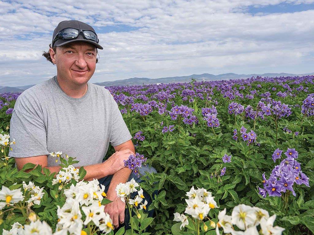 Farmer in field of flowers with mountains in distant background