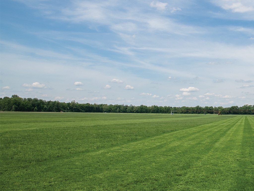green field with trees and sky in background