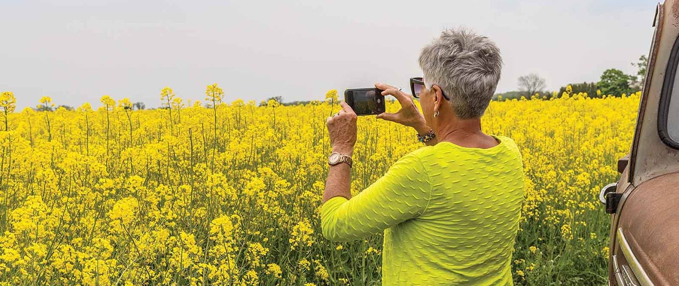 Farmer in neon yellow shirt taking photo of bright yellow canola crops
