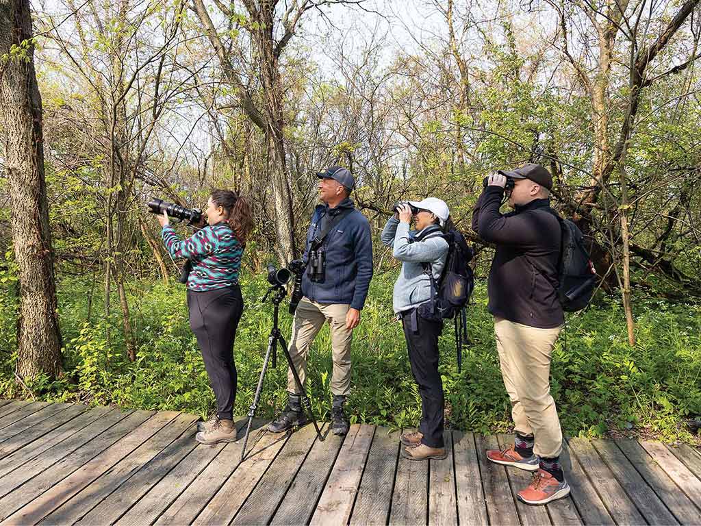 a group of birdwatchers with binoculars and cameras looking up to the left