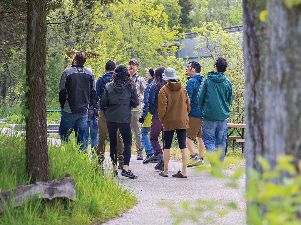 a group of people following a tour guide along a path surrounded by trees