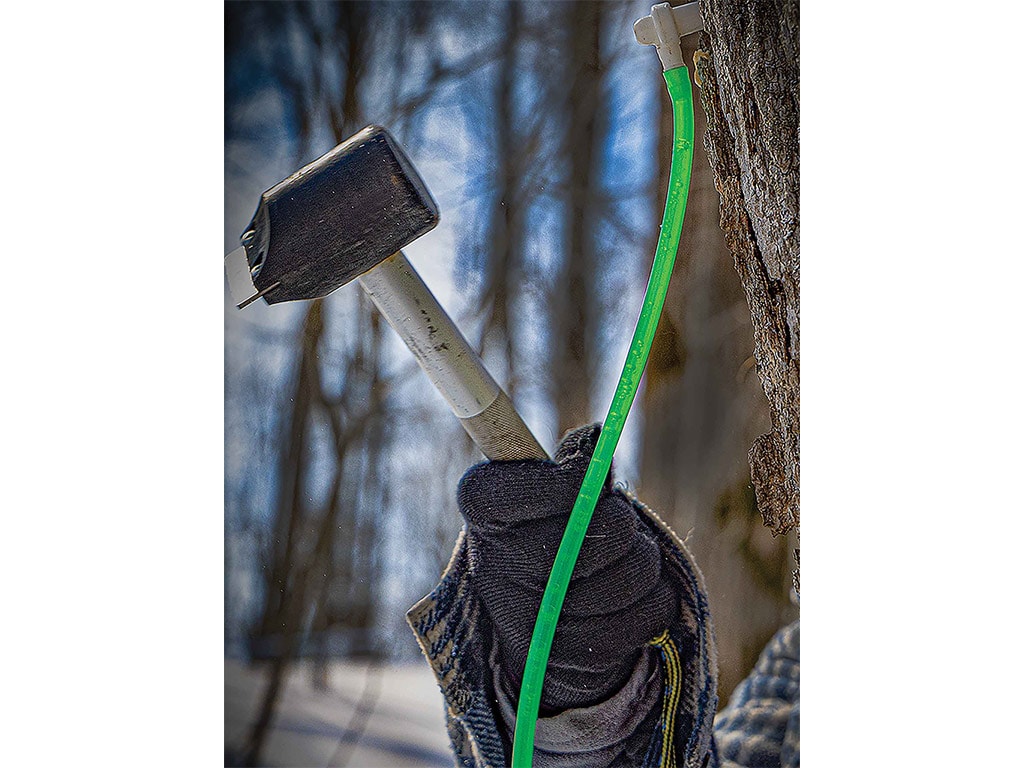 a closeup of a tree tapping hammer and a plastic neon green tube hanging from a tree trunk