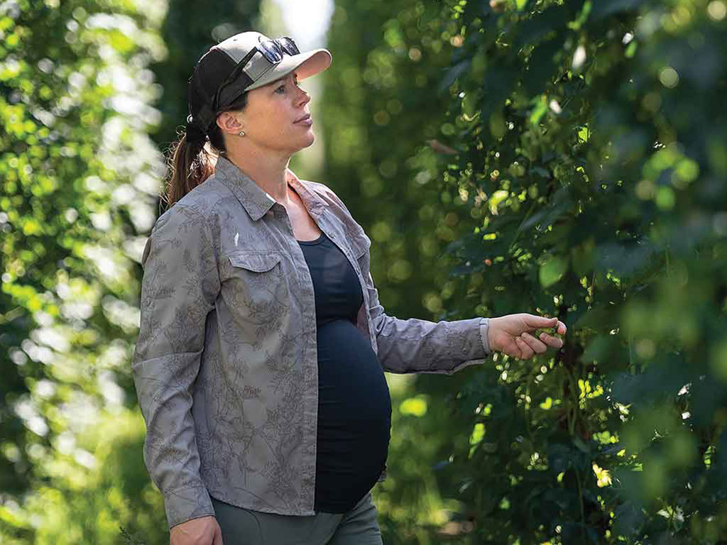 Beer hops farmer inspecting trellis of hops