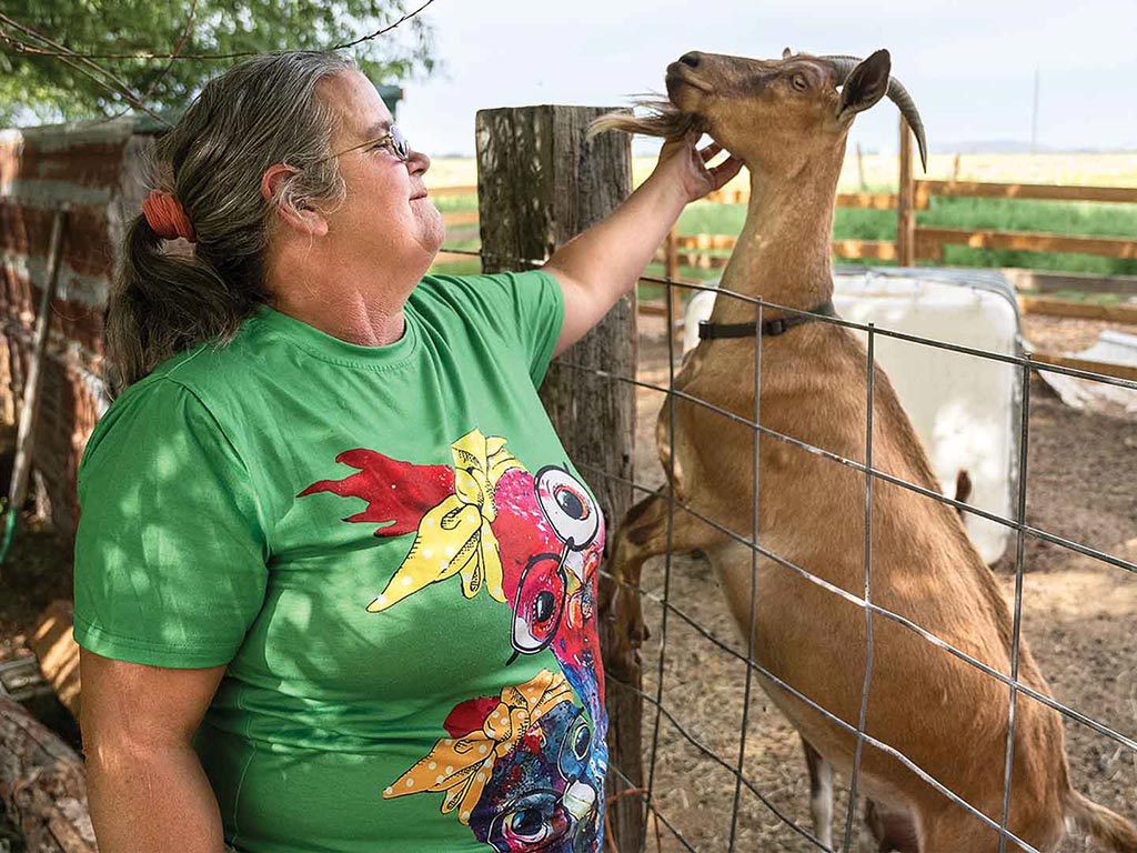a person in a green tshirt and glasses scratching a goat under its chin perched up on a livestock fence