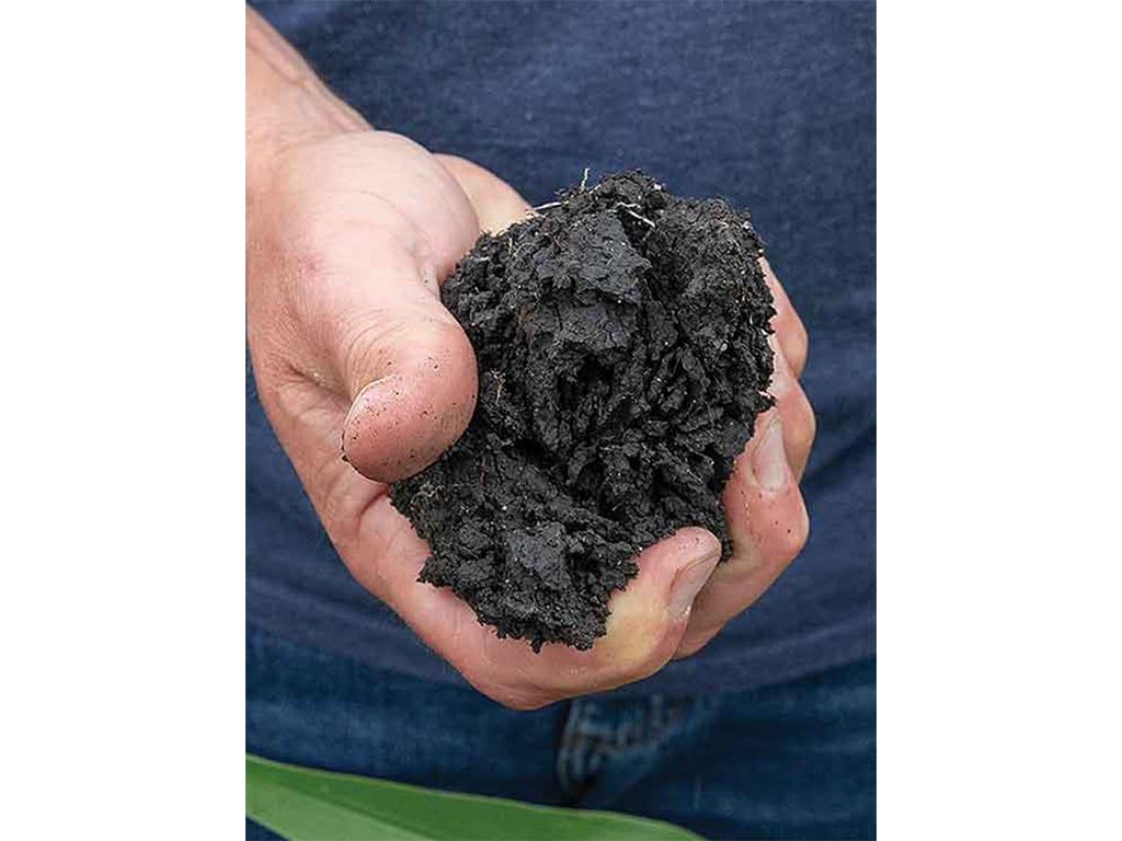 closeup of a handful of soil