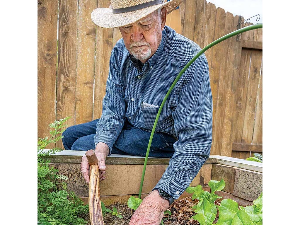 A farmer leaning into a raised plant bed using a wooden hook with a handle to plant seeds in compost