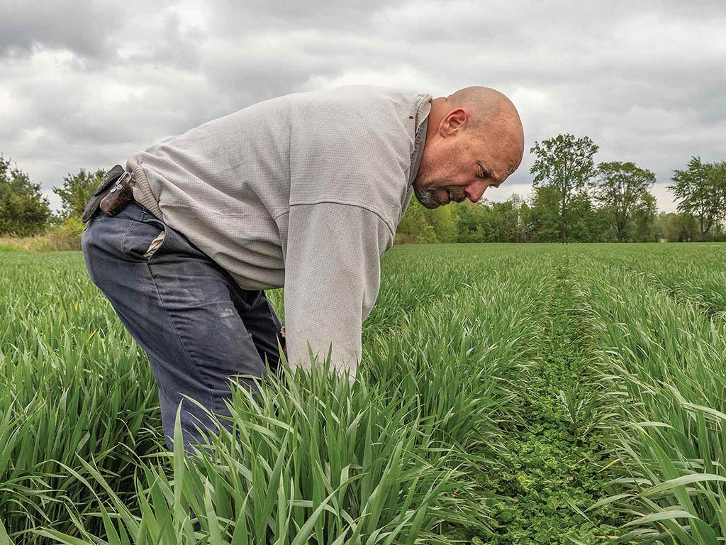 Farmer leaning over long grass with trees in the background