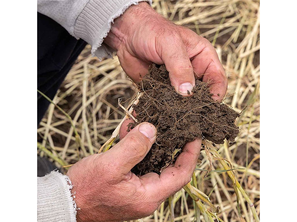 closeup of soil held in hands