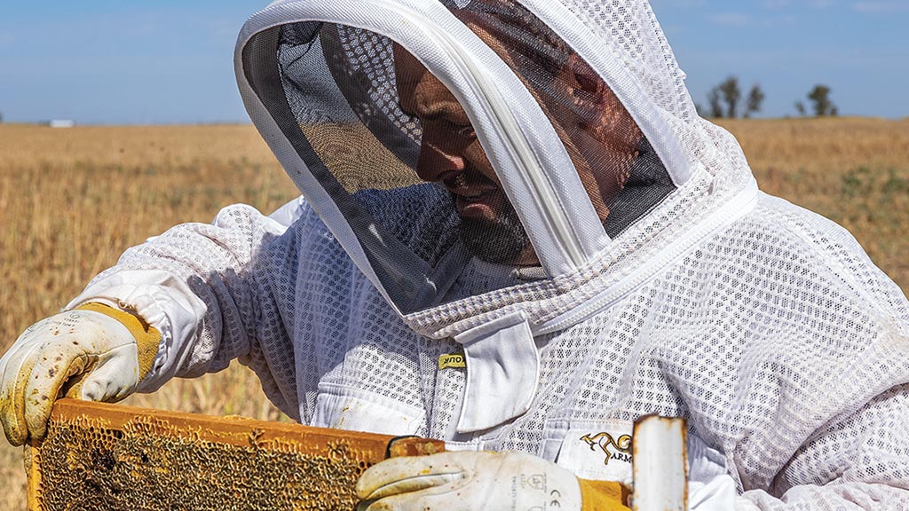 person in bee suit handling slab of beehive