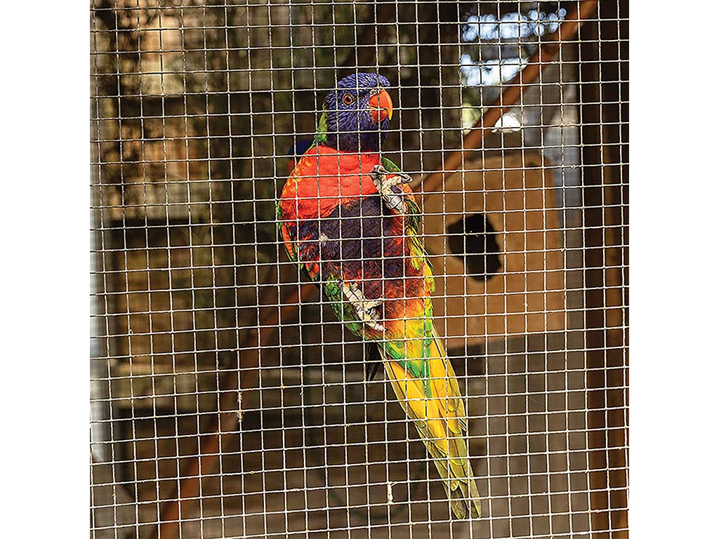a brightly colored parrot hanging onto a fine mesh cage