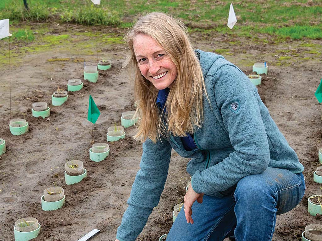 Person smiling crouched down among cover crop seedlings